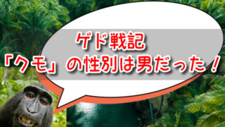 ゲド戦記「クモ」の性別は男だった！なぜ女のコスプレか目的も解説