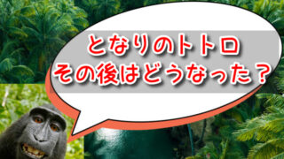 となりのトトロその後はどうなった？10年後のさつきとかんたは結婚？