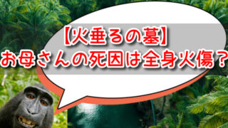 【火垂るの墓】お母さんの死因は全身火傷？清太と別行動した理由は？