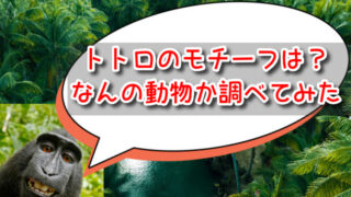 トトロのモチーフは何？なんの動物がモデルか調べてみた