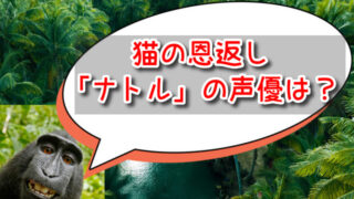 猫の恩返し「ナトル」のセリフや名言まとめ！声優は誰なの？