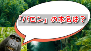 猫の恩返し「バロン」名前の由来や本名は？男爵の意味や正式名称も深掘り！