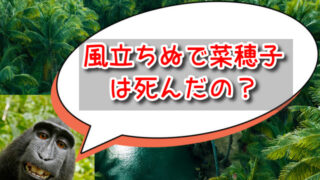 風立ちぬで菜穂子は死んだの？「ひこうき雲」歌詞の意味から最後を考察