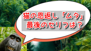 猫の恩返し「ムタ」最後のセリフは？ハルとの会話全文&意味も解説