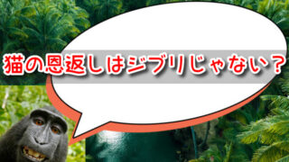 猫の恩返しはジブリじゃない！内容や作画・監督どこが変わった？