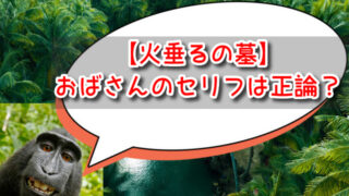 【火垂るの墓】おばさんのセリフは正論？清太に対して後悔はない？