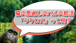 猫の恩返し「ラクロス」って何？ハルの部活はどんなスポーツなの？