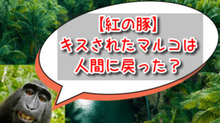 紅の豚でマルコは人間に戻ったの？その後ジーナやフィオとの関係はどうなった？