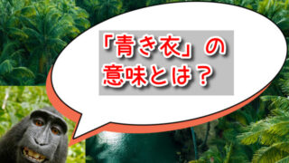 ナウシカ「青き衣」の意味とは？鳥や杖・言い伝えの人物も考察