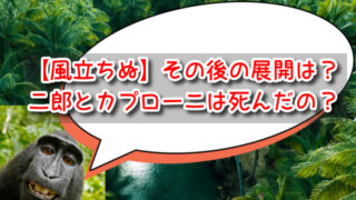 【風立ちぬ】二郎とカプローニは死んだのか考察！その後どうなった？