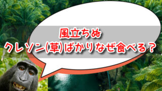 風立ちぬ「カストルプ」の正体は何者？クレソン(草)ばかりなぜ食べるの？