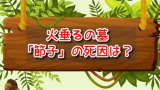 火垂るの墓「節子」の死因は？湿疹の原因や下痢の理由・命日も解説